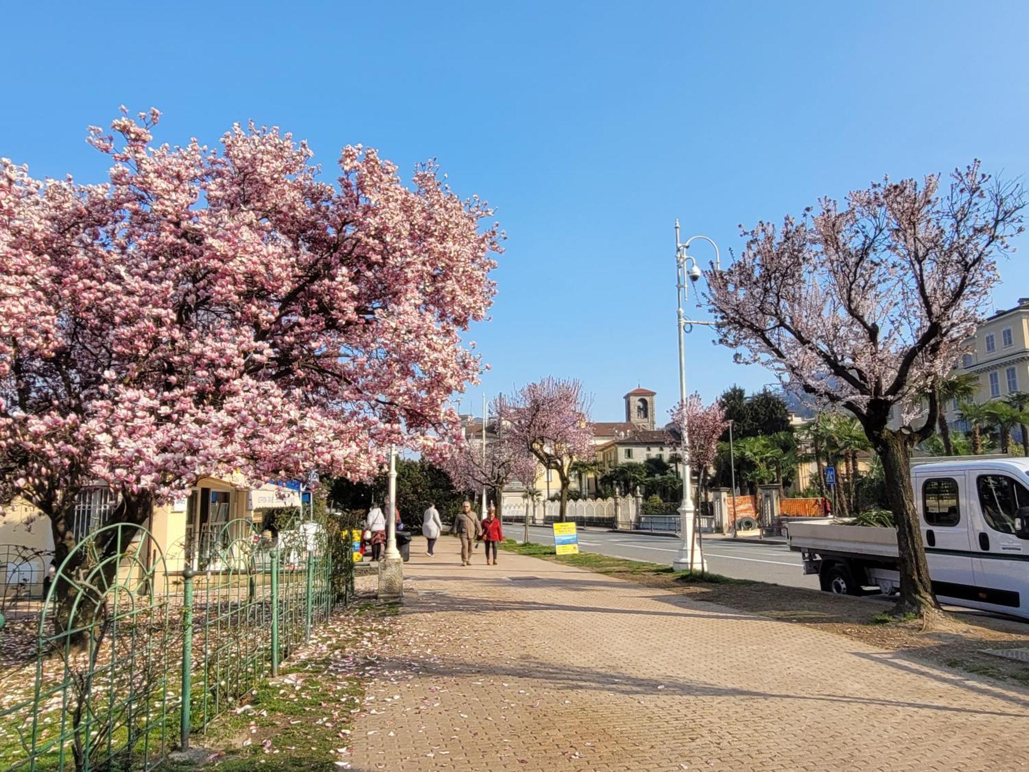 Al Dolce * Stresa